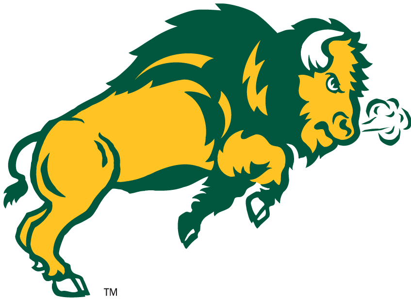 North Dakota State Bison 2006-2011 Secondary Logo iron on transfers for clothing